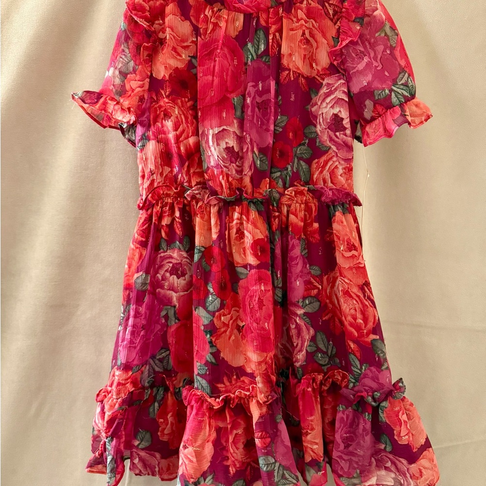 Wonder Nation Pink and Red Floral Dress